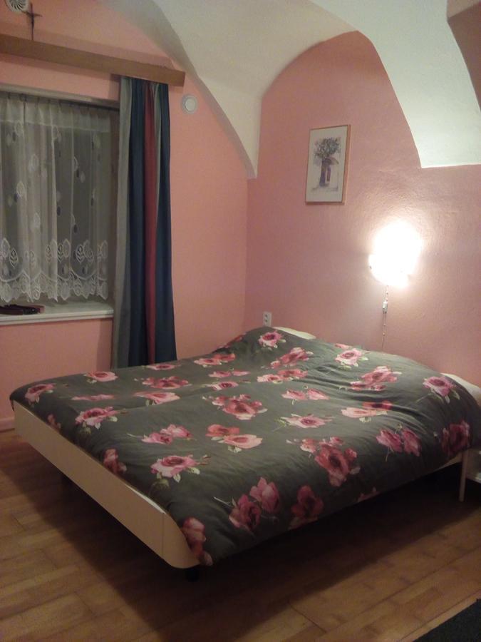 Country House U Potoka Pensionat Božanov Eksteriør billede