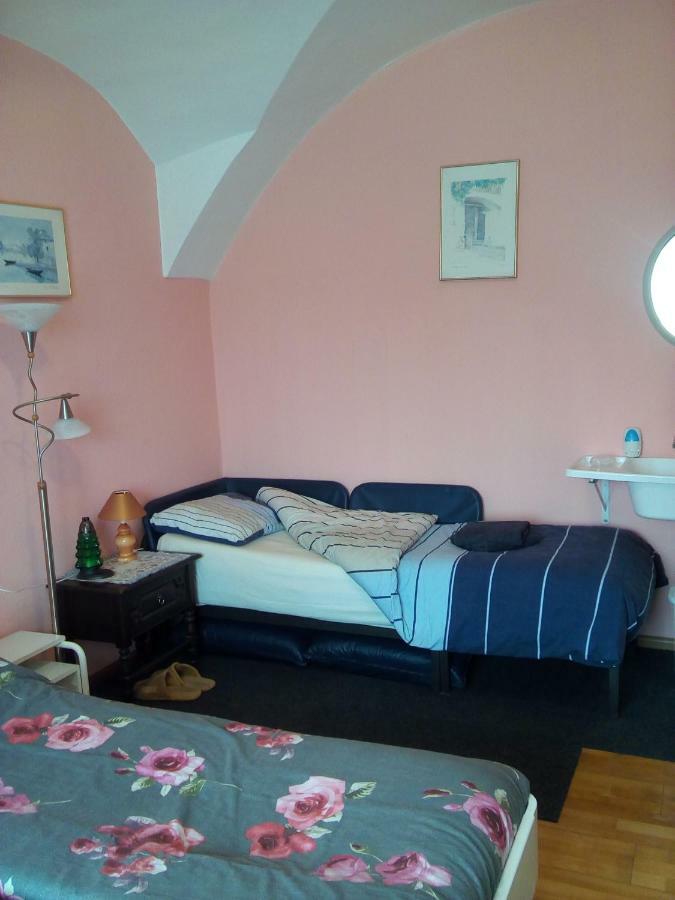 Country House U Potoka Pensionat Božanov Eksteriør billede